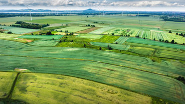 Lorem ipsum is dolor